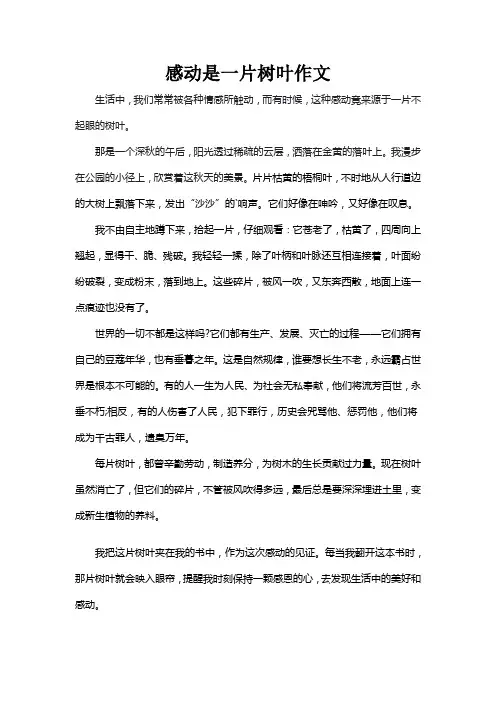 感动是一片树叶作文
