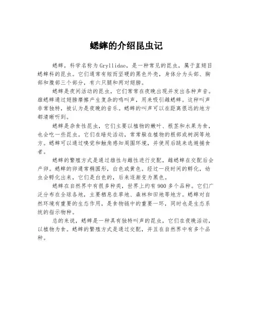 蟋蟀的介绍昆虫记