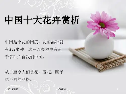 中国十大名花赏析
