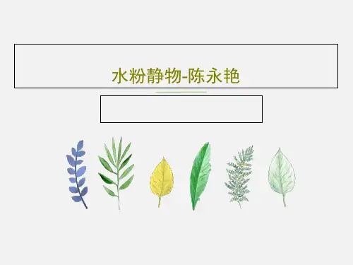 水粉静物-陈永艳31页PPT