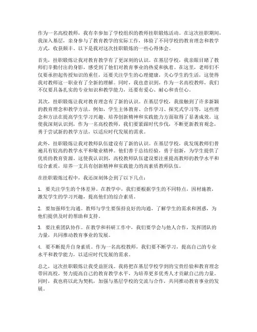高校教师挂职_心得体会