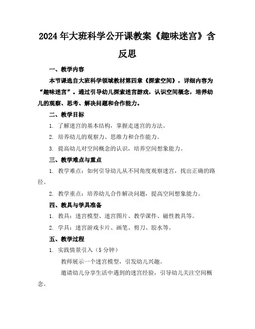 2024年大班科学公开课教案《趣味迷宫》含反思