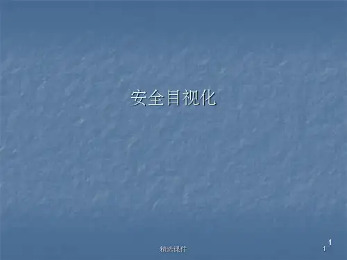 安全目视化