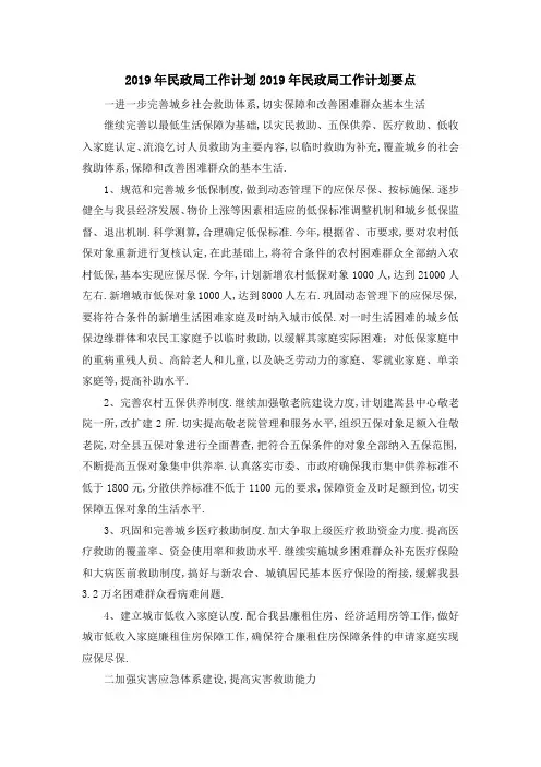 2019年民政局工作计划 2019年民政局工作计划要点 精品