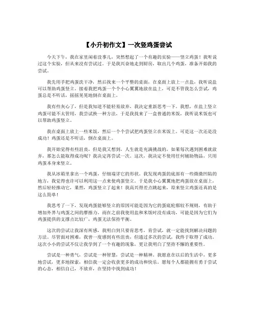 【小升初作文】一次竖鸡蛋尝试