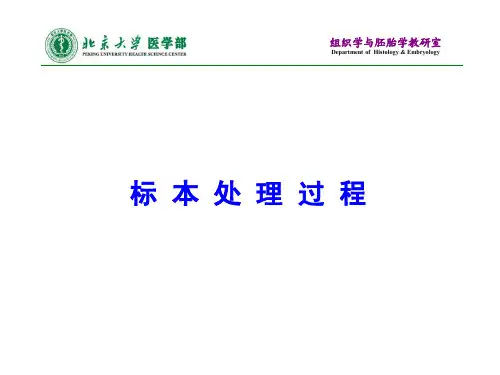 标本材料的处理
