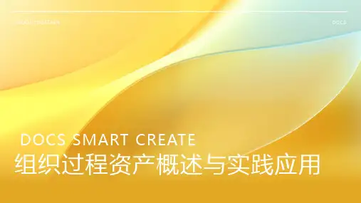 组织过程资产