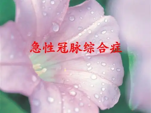 急性冠脉综合症