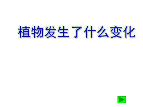 【教科版】小学科学三年级上册《植物发生了什么变化》
