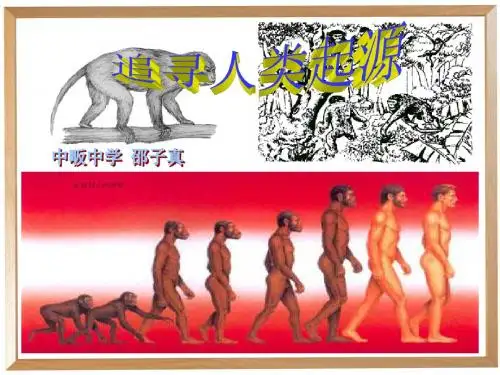 人教版七年级语文上册第六单元综合性学习《追寻人类的起源》课件