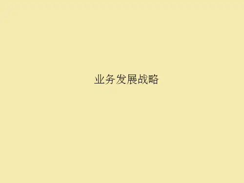 业务发展战略ppt课件
