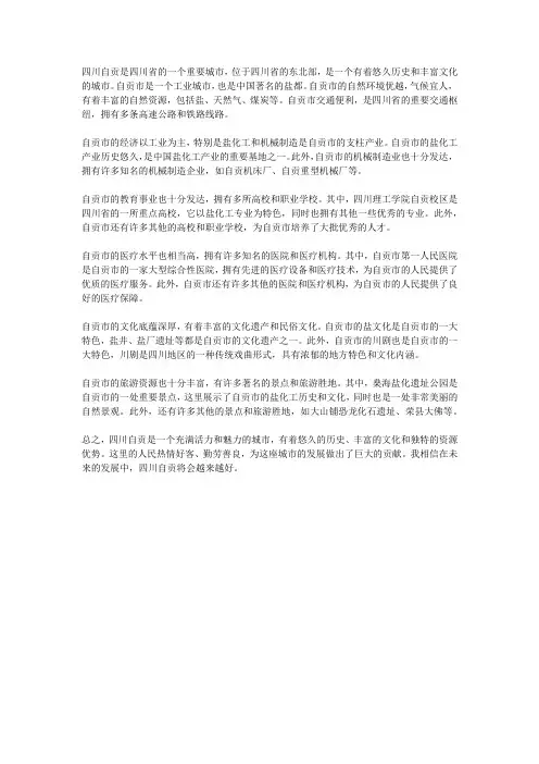四川自贡简介概况