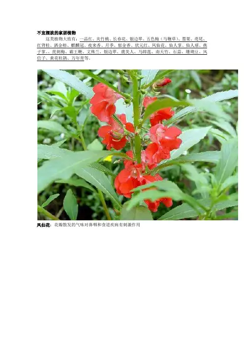 不宜摆放室内的植物