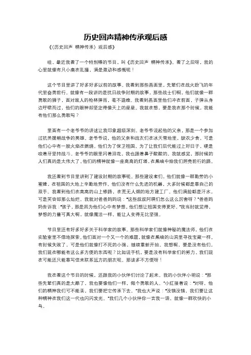历史回声精神传承观后感