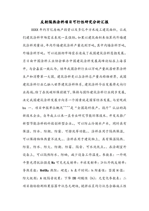 反射隔热涂料项目可行性研究分析汇报.doc