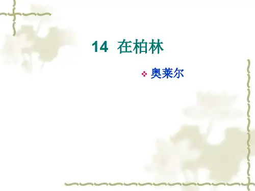 14在柏林课件ppt