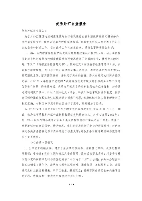 优秀外汇自查报告