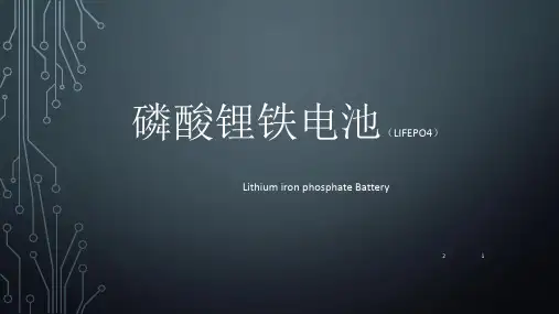 磷酸铁锂电池特性报告(课堂PPT)