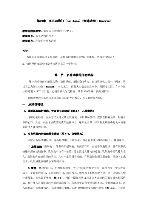 多孔动物门Porifera海绵动物门Spongia