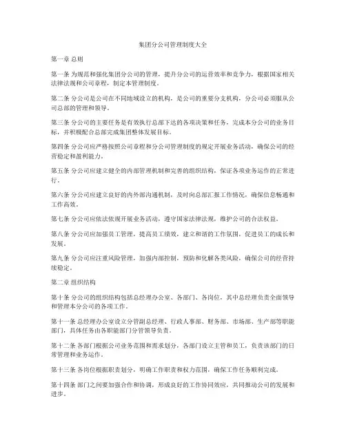 集团分公司管理制度大全