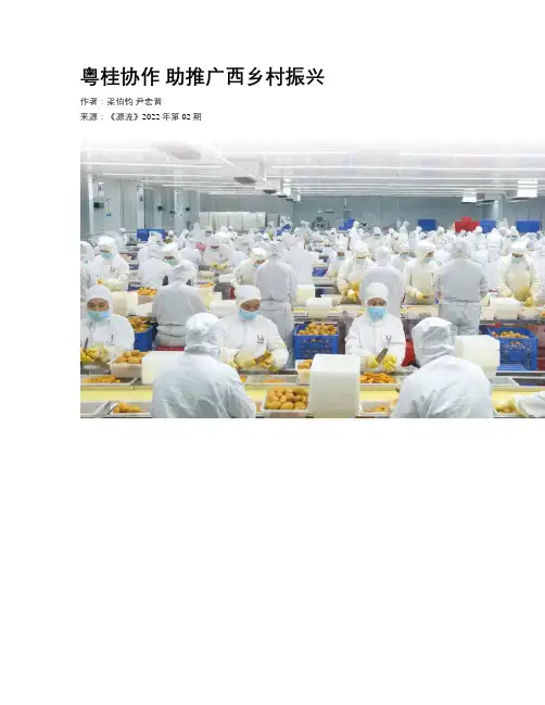 粤桂协作 助推广西乡村振兴 