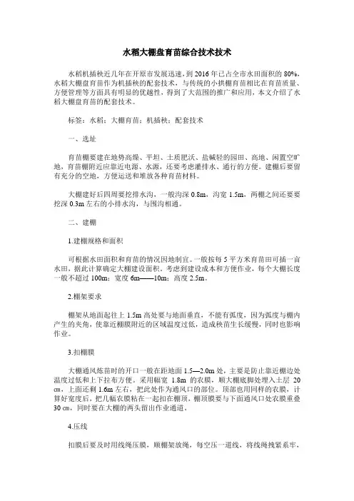水稻大棚盘育苗综合技术技术