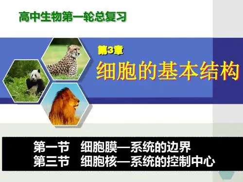 高中生物一轮复习课件-必修1-3细胞膜、细胞核