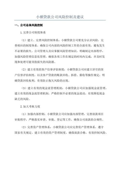 小额贷款公司风险控制及建议