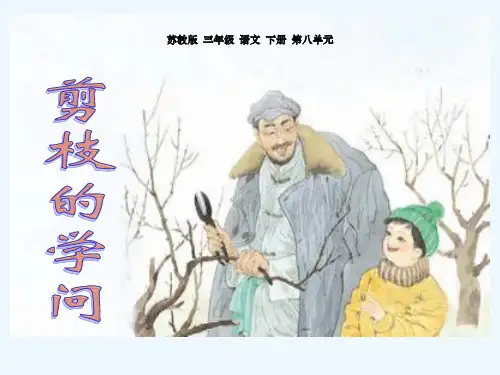 苏教版三年级下册语文剪枝的学问课件