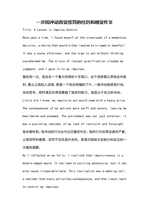 一次因冲动而受惩罚的经历和感受作文