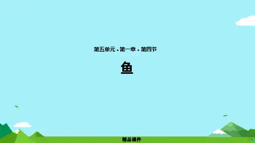 八年级生物上册5.1.4鱼教学课件新人教版