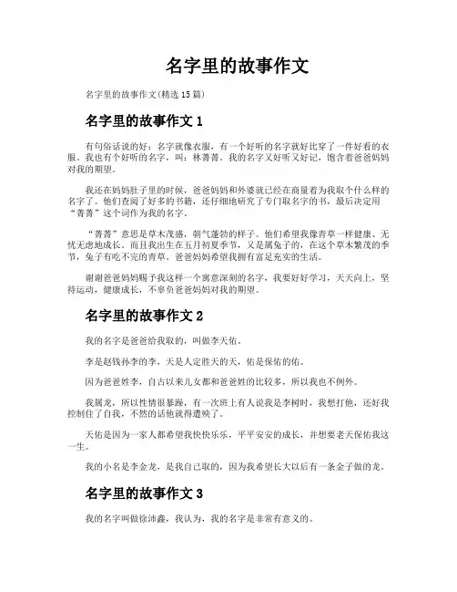 名字里的故事作文