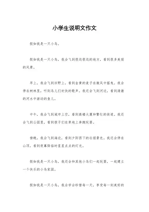 小学生说明文作文