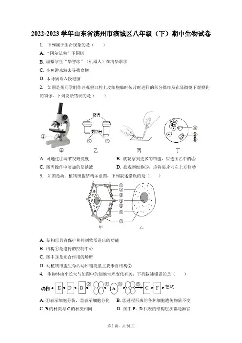 2022-2023学年山东省滨州市滨城区八年级(下)期中生物试卷(附答案详解)