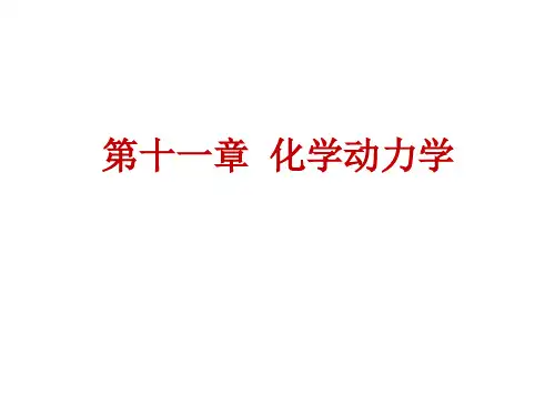 11-化学动力学 习题