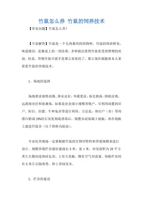 竹鼠怎么养 竹鼠的饲养技术