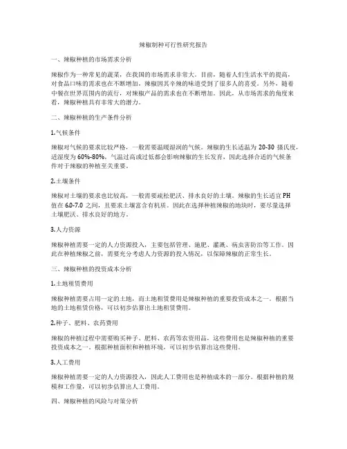 辣椒制种可行性研究报告