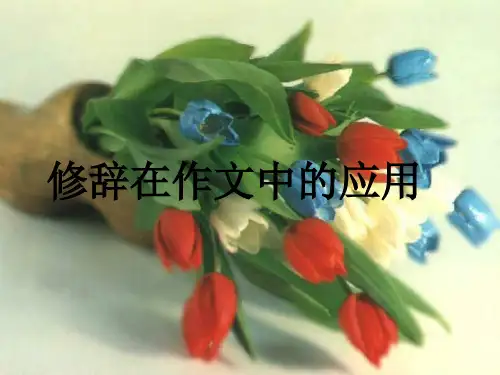 修辞在作文中的应用ppt