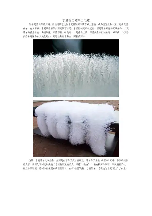 宁夏白宝滩羊二毛皮