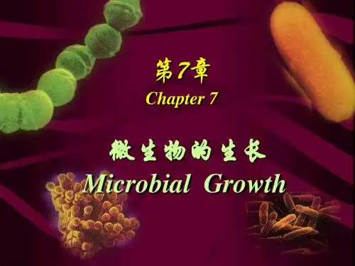 化生专业微生物-第7章-微生物的生长(上传)