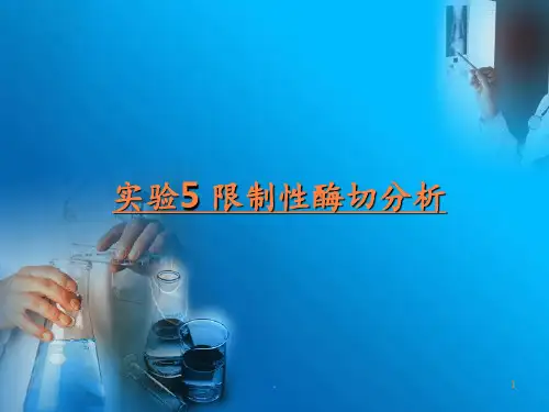 DNA的限制性酶谱分析ppt课件