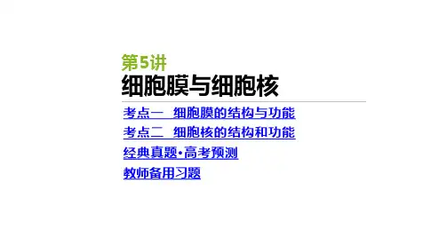 高三生物一轮复习课件细胞膜与细胞核