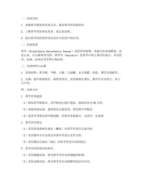 黄芩的实验报告