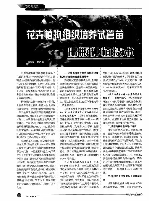 花卉植物组织培养试管苗出瓶种植技术