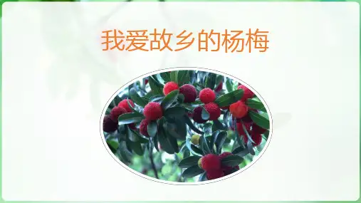 三年级语文上册《我爱故乡的杨梅》PPT课件