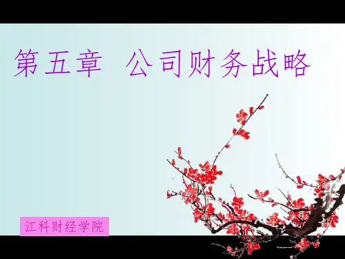 《财务战略》PPT课件
