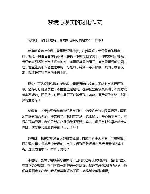 梦境与现实的对比作文