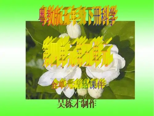 粤教版五年级下册科学第四单元第五单元全单元精品课件