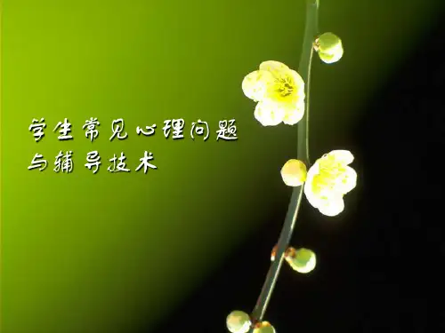 学生心理问题PPT课件