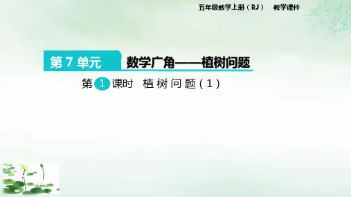 五年级上册数学广角—植树问题人教版(17张PPT)
